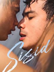 Sisid