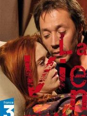 La Vie en miettes