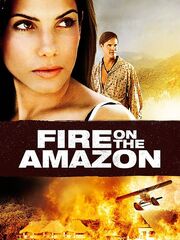 Fire on the Amazon