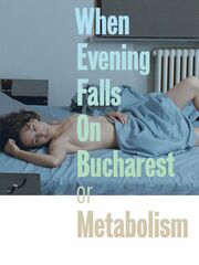 When Evening Falls on Bucharest or Metabolism