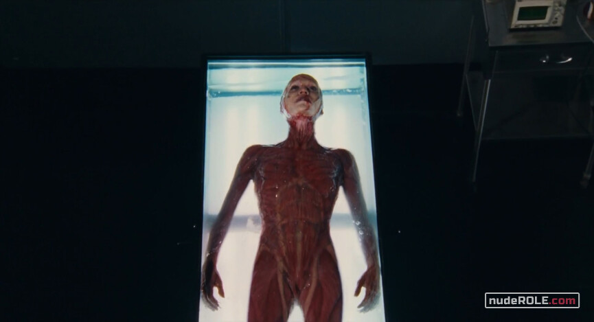 24. Anna nude, La Suppliciée nude – Martyrs (2008)